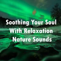 Soothing Your Soul with Relaxation Nature Sounds (Single)