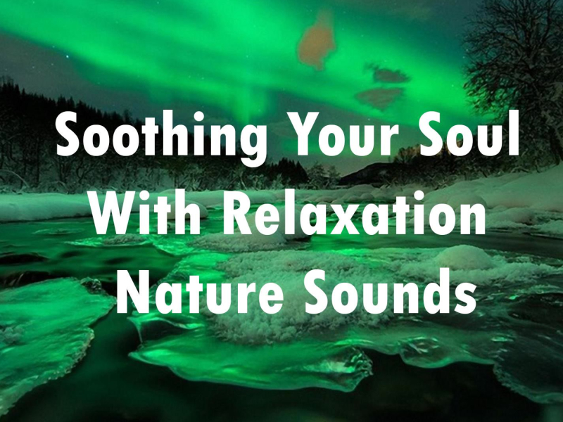 Soothing Your Soul with Relaxation Nature Sounds (Single)