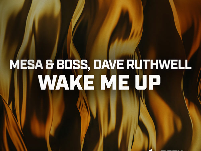 Wake Me Up (Single)