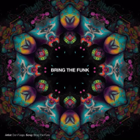 Bring The Funk (Radio Edit) (Single)