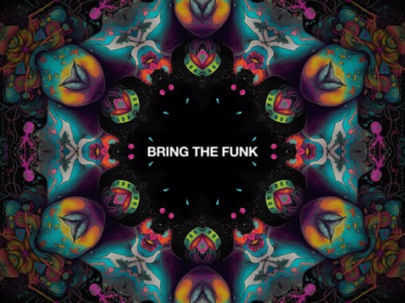 Bring The Funk (Radio Edit) (Single)