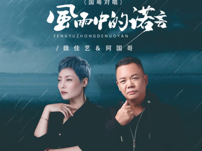 风雨中的诺言 (国粤对唱节奏版) (EP)
