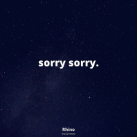 sorry sorry. (Single)