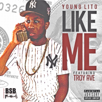 Like Me (feat. Troy Ave)