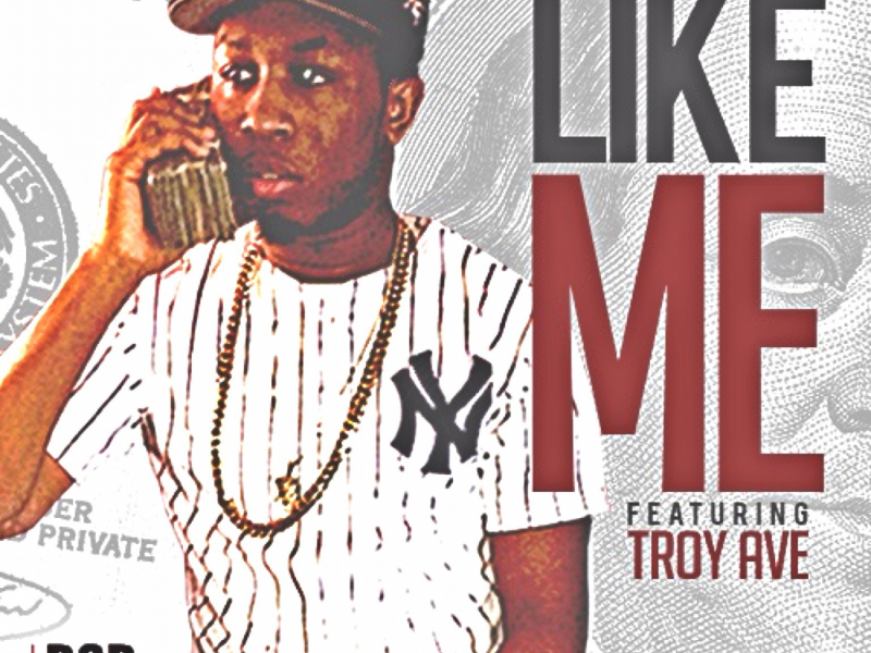 Like Me (feat. Troy Ave)