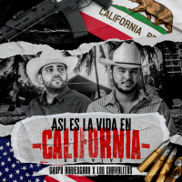 Asi Es La Vida En California (En Vivo) (Single)