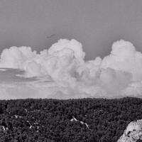 Conversation With The Unconscious (Single)