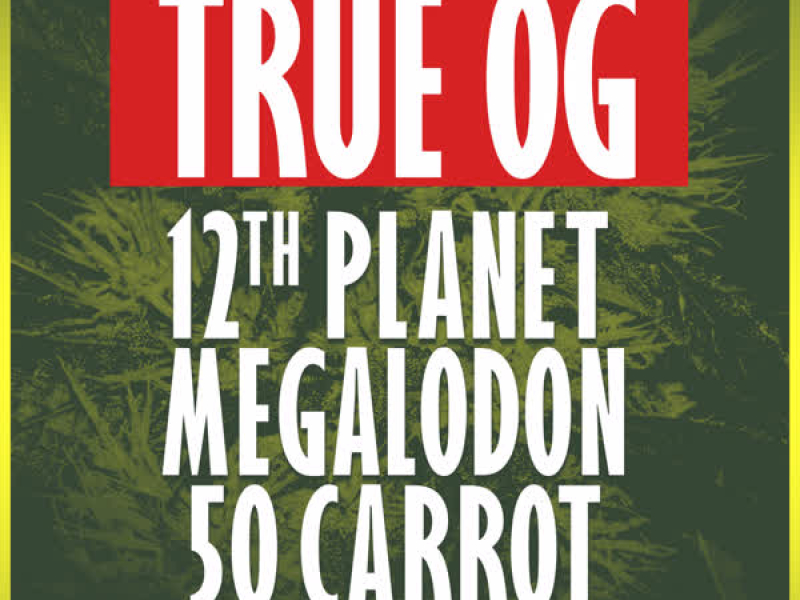 True OG (Single)