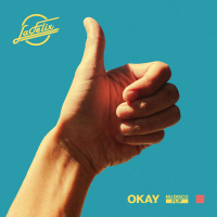 Okay (Nu Disco Flip) (Single)