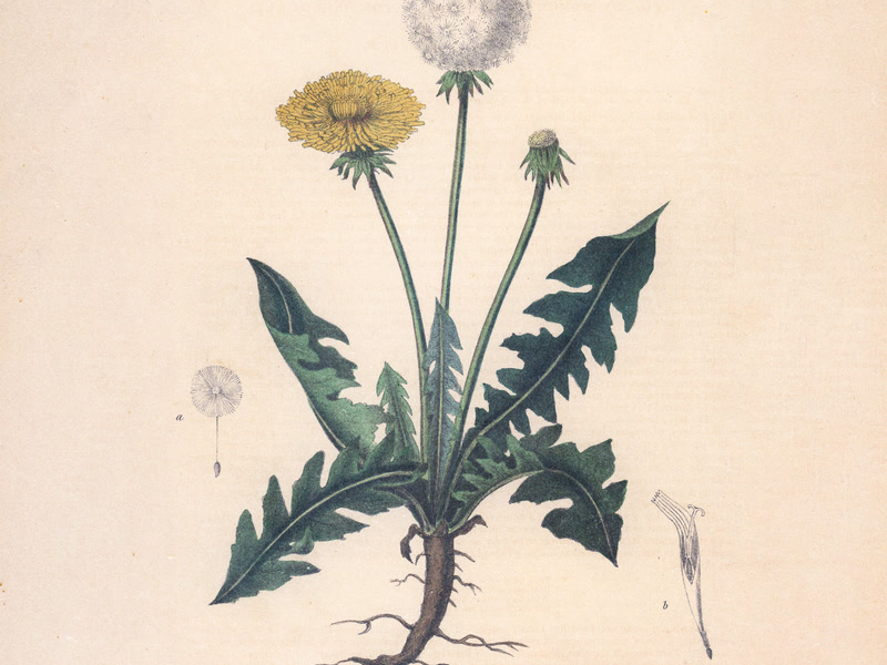 Wait A Little Longer (Single)