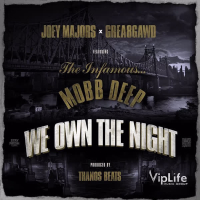 We Own the Night (feat. Mobb Deep) (EP)