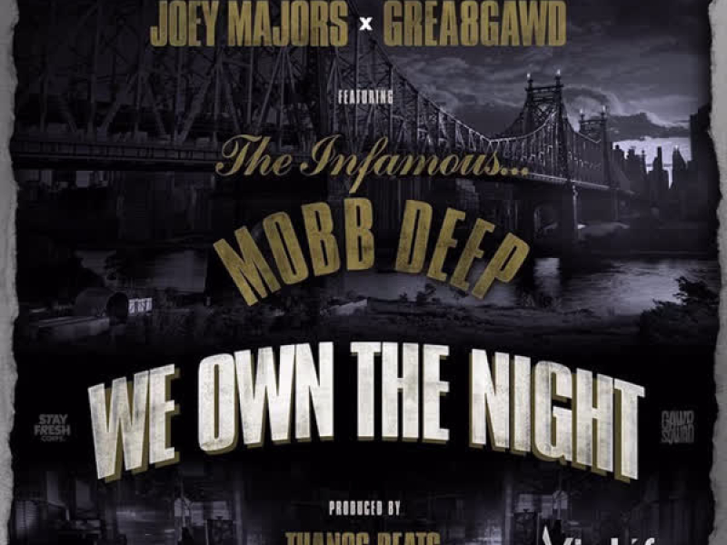 We Own the Night (feat. Mobb Deep) (EP)