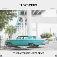 The Fantastic Lloyd Price