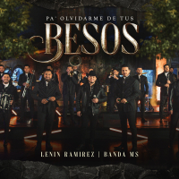 Pa' Olvidarme de tus Besos (Single)