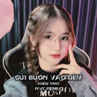 Gửi Buồn Vào Đêm (Nvc Remix) (Single)