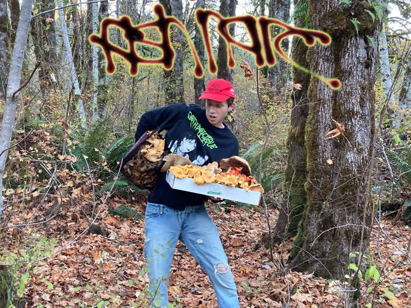 Foraging Wild Mushrooms