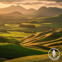 Hills of Silence (Single)