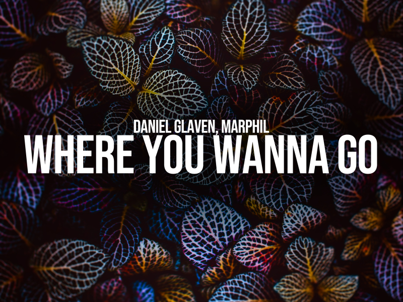 Where You Wanna Go (Single)