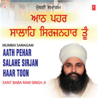 Aath Pehar Salahe Sirjan Haar Toon (Single)