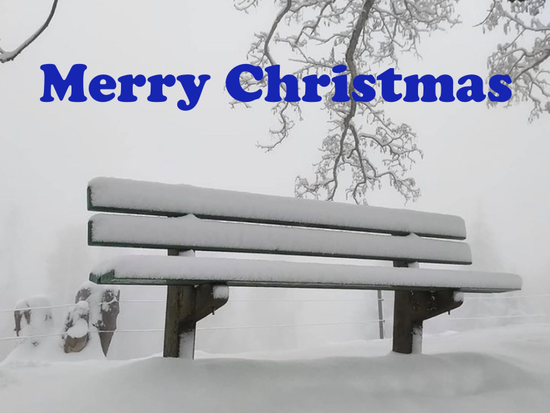 Merry Christmas (Single)