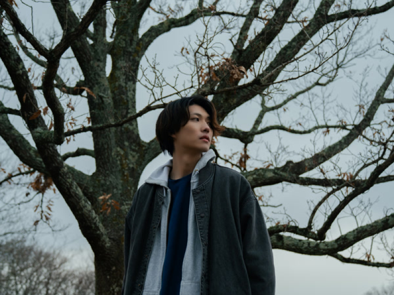 Screenshots (Single)