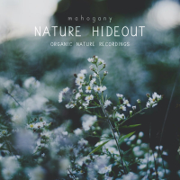 Nature Hideout (Single)