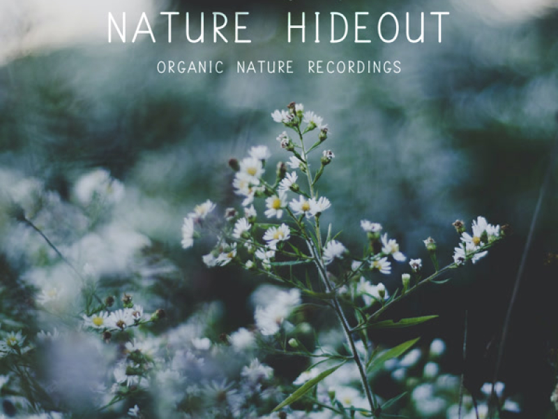 Nature Hideout (Single)