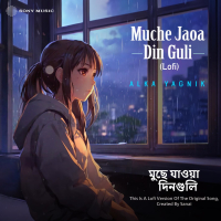 Muche Jaoa Din Guli Female Version (Lofi) (Single)