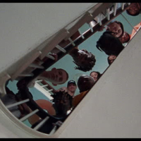 Complicated (MV) (Single)