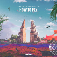 How To Fly (Single)