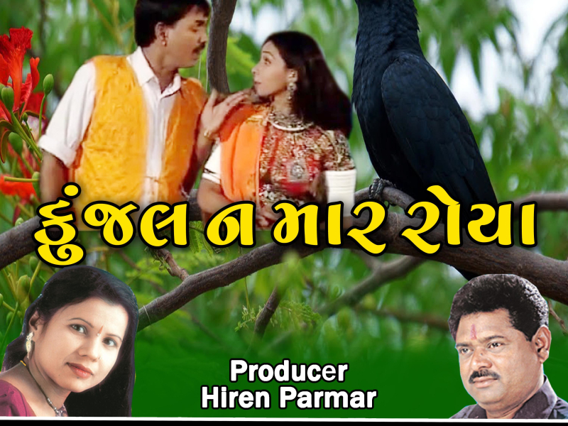 Kunjal Na Mar Roya (Single)