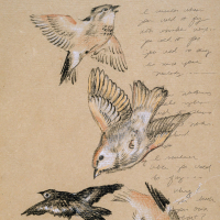 Like a Bird (Single)