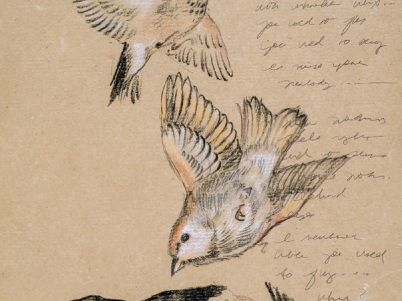 Like a Bird (Single)