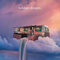 wildest dreams (Single)