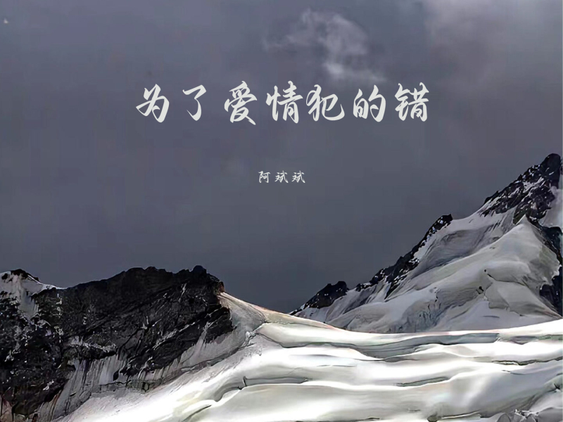 为了爱情犯的错 (Single)
