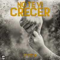 No Te Vi Crecer (Single)