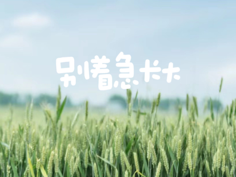 别着急长大 (Single)