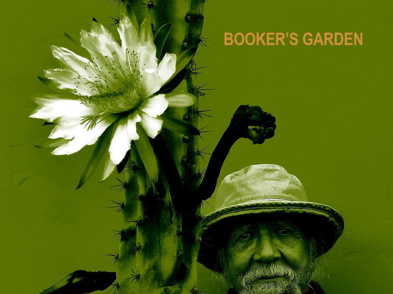 Booker's Garden (Single)
