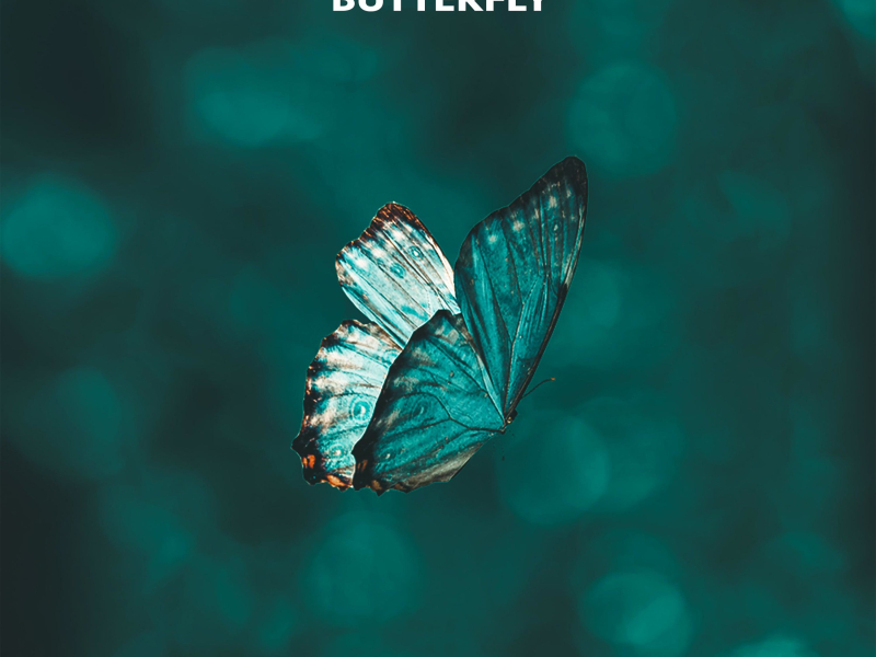 Butterfly (Single)