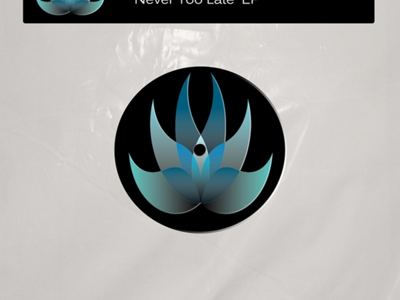 Never Too Late EP