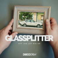 Glassplitter (Att Jag Lät Dig Gå) (Single)