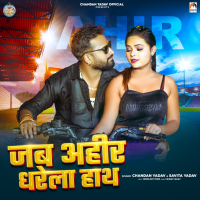 Jab Ahir Dharela Hath (Single)