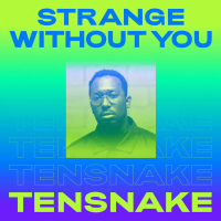 Strange Without You (Single)