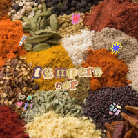 TEMPERO (Single)