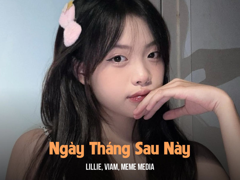 Ngày Tháng Sau Này (Remix & Lofi) (EP)