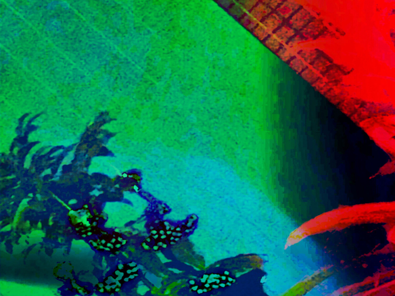 Escaped the Self / Void of Self