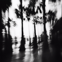 Satisfaction (Single)