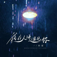 我在人海遇见你 (语录版) (Single)