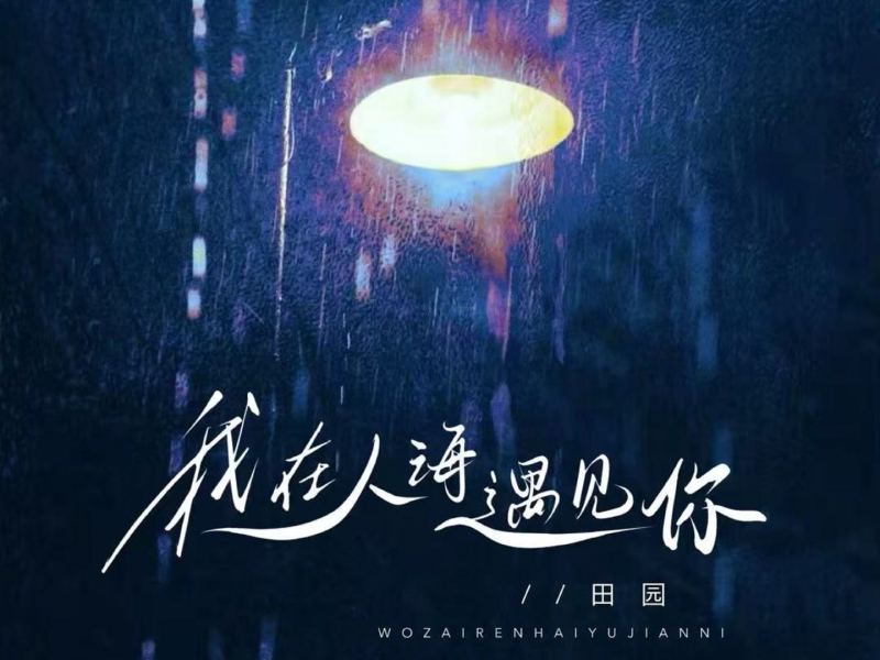 我在人海遇见你 (语录版) (Single)