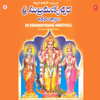 Sri Subrmanyeswara Animuthyalu